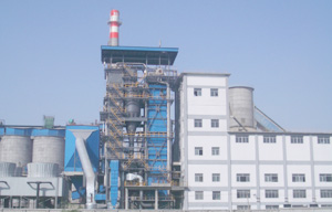 热烈祝贺尊龙集团中标大吨位高温高压电站锅炉项目