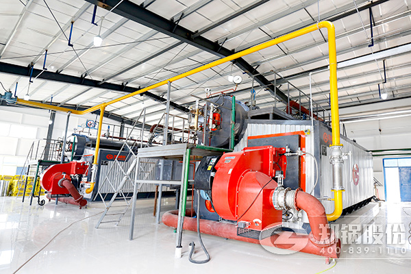 35吨燃气锅炉天天要费几多气