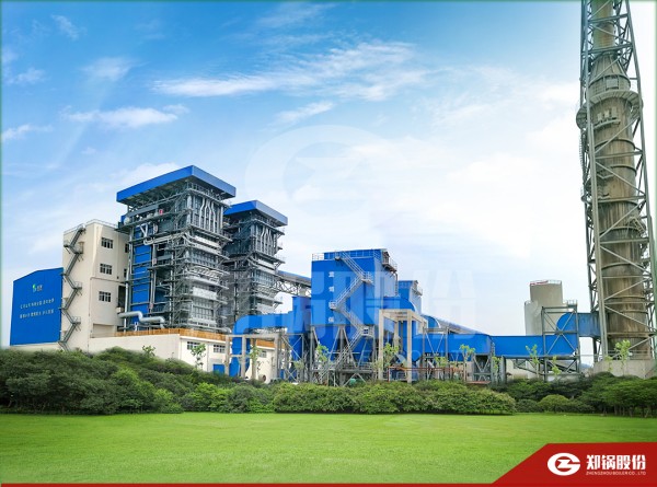 聚焦山东：尊龙集团生物质新能源综合使用项目