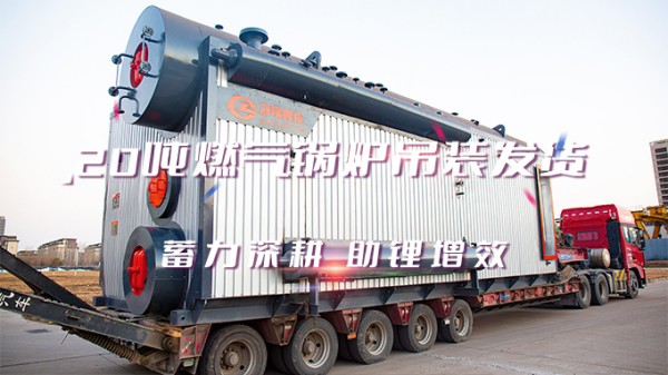助“锂”增效，，，，，，尊龙集团2*20t/h燃气中压锅炉吊装发货