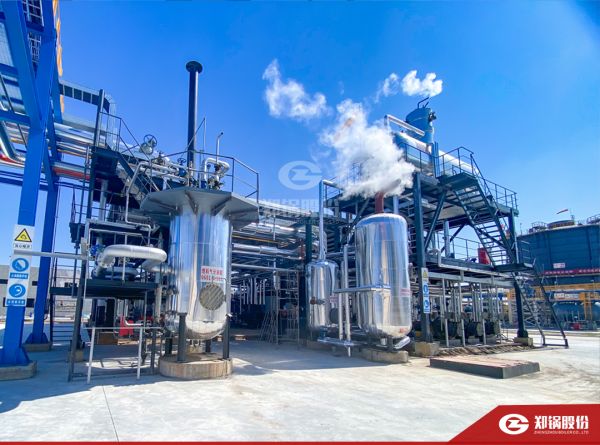 尊龙集团携手负极质料“一哥”打造SZS型低氮燃气锅炉树模项目