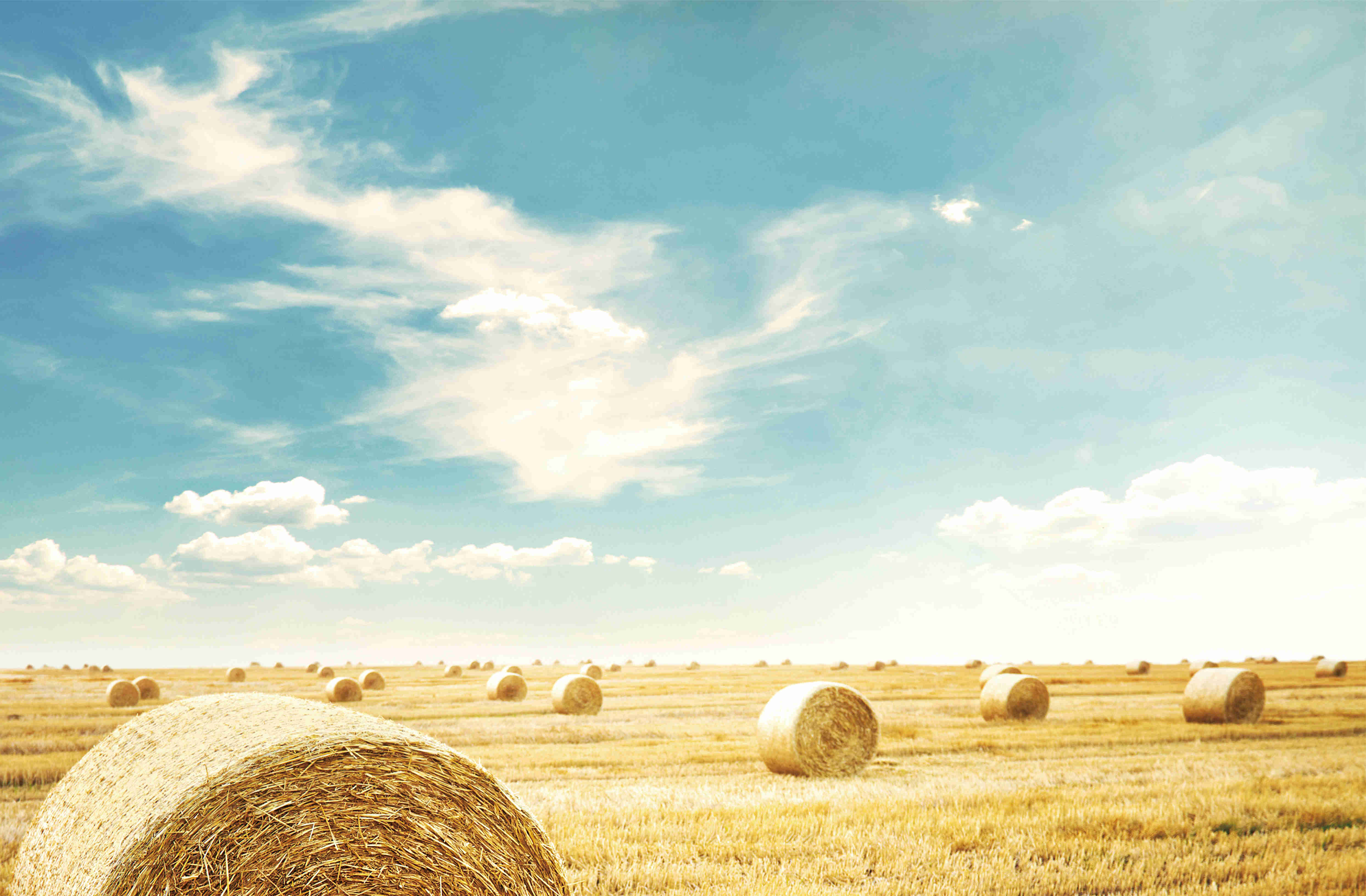 《2021年黑龙江省秸秆综合使用事情实验方案》宣布