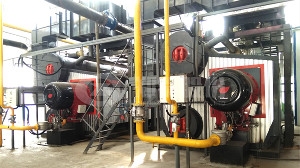 尊龙集团燃气锅炉——为清洁供热生长按下快进键