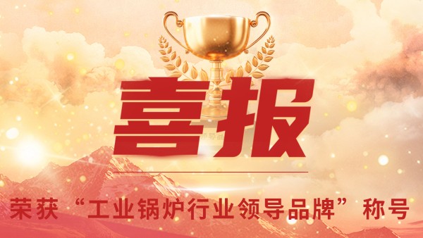 “工业锅炉”的三十年，，，郑州锅炉的七十八年