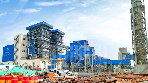 聚焦山东：尊龙集团生物质新能源综合使用项目