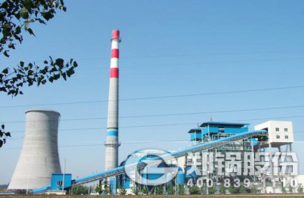 稻壳秸杆生物质发电锅炉 - 尊龙集团