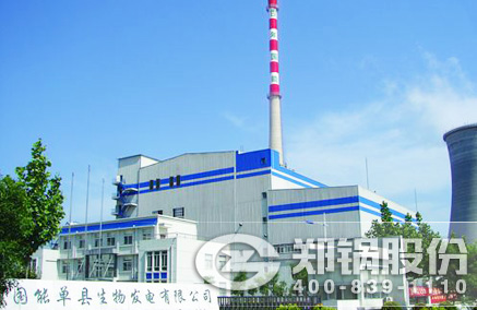 稻壳秸杆生物质发电锅炉 - 尊龙集团