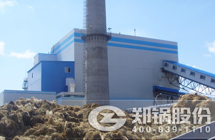 稻壳秸杆生物质发电锅炉 - 尊龙集团