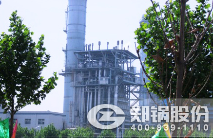 燃油燃气电站锅炉 - 尊龙集团