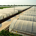 首页| 尊龙集团中国官方网站