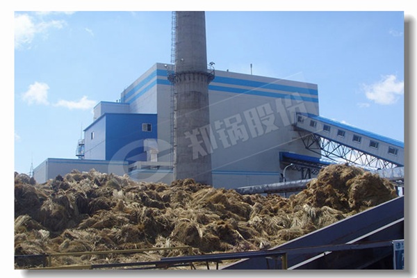 自然气或燃油工业蒸汽锅炉