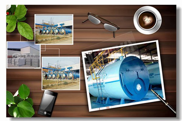 蒸汽锅炉煤25火鸡工业蒸汽