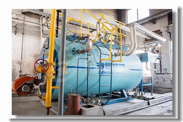 自然气高品质10t h锅炉