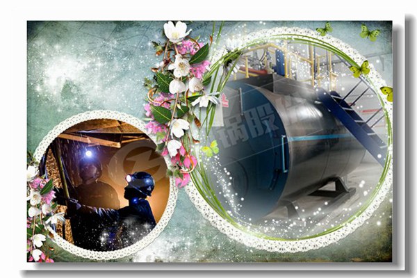 烧煤的锅炉6吨几多钱？？