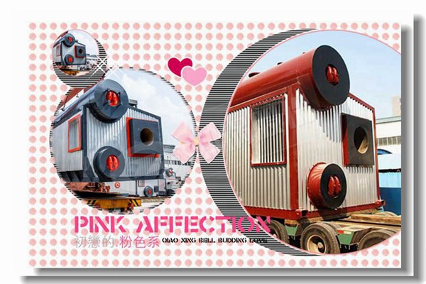 燃煤蒸汽锅炉停炉有哪些注重事项？？？？？