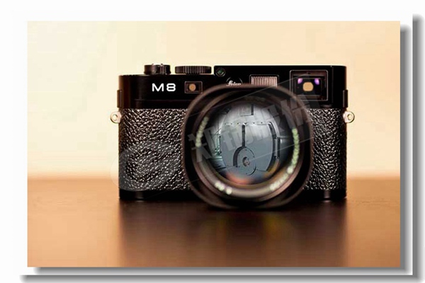 锅炉有哪些热损失？？？？？？