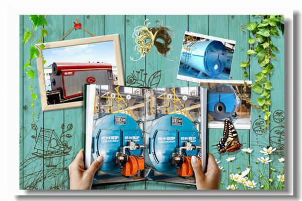 双燃料蒸汽锅炉，，，，，压力16kg