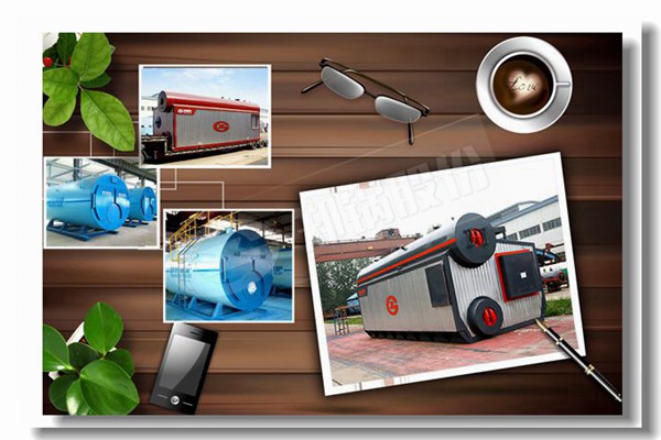 经济高效的自然气蒸汽锅炉4