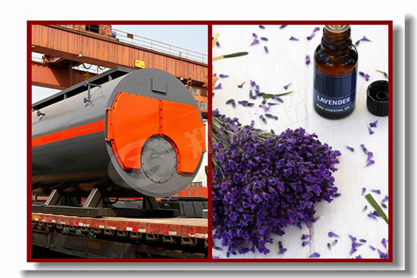 折扣热水锅炉散热器